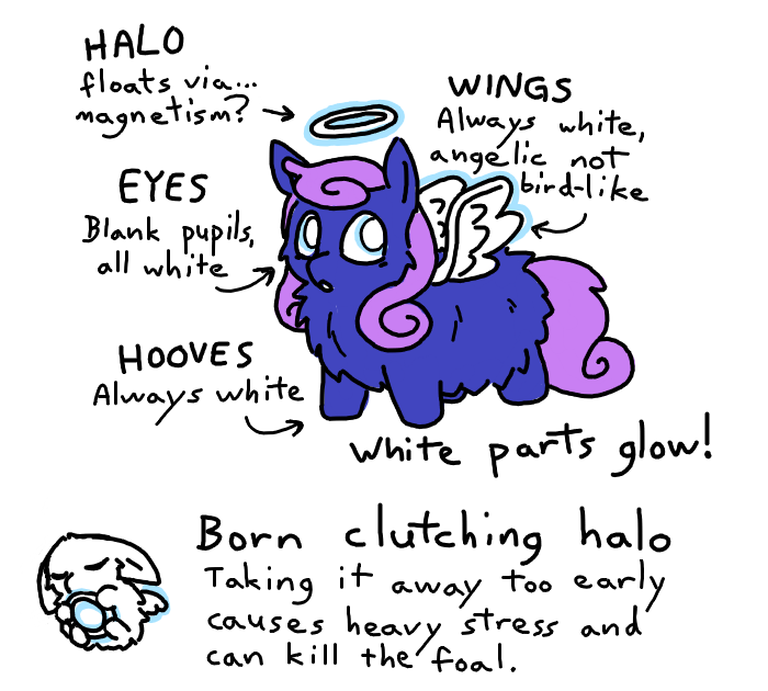 angel fluffs info 0