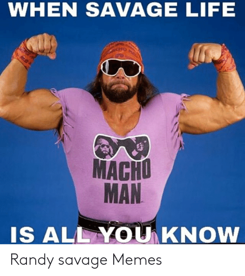 when-savage-life-macho-man-is-all-you-know-randy-49383374