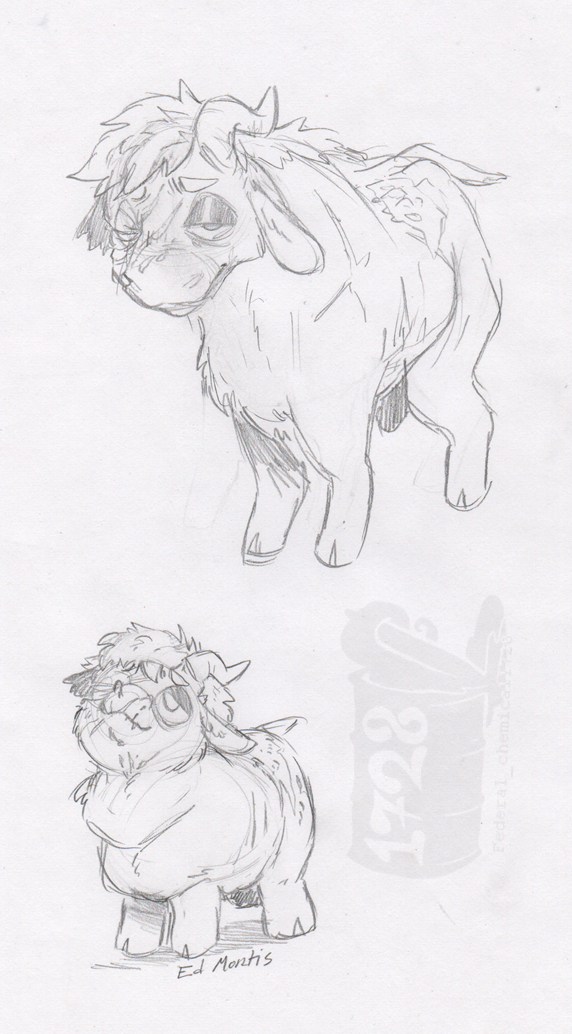 Scan_20241103 (3)