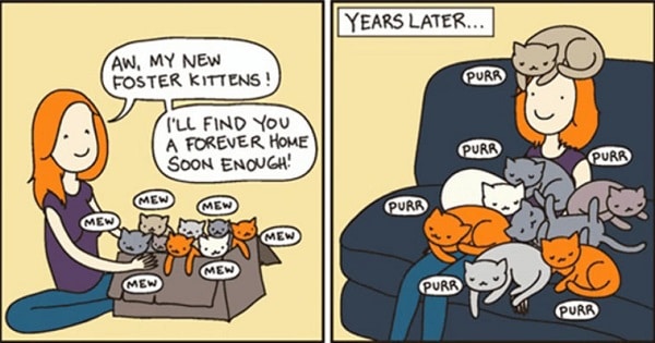These-10-Hilarious-Cat-Comics-Will-Definitely-Make-Your-Day