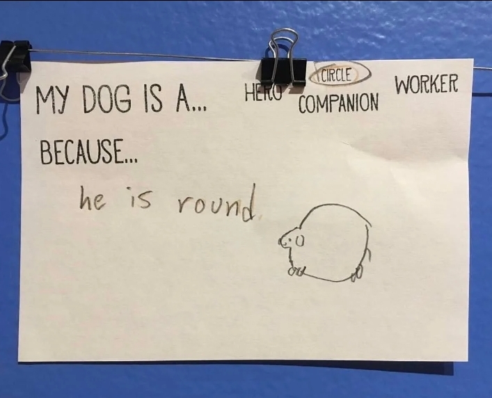 Screenshot_20260124_020001_Gallery