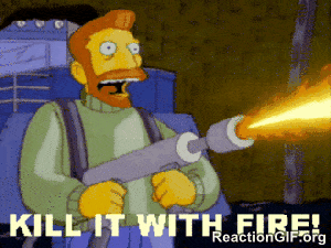 GIF-die-do-not-want-fire-flame-kill-it-kill-it-with-fire-GIF-3835988217