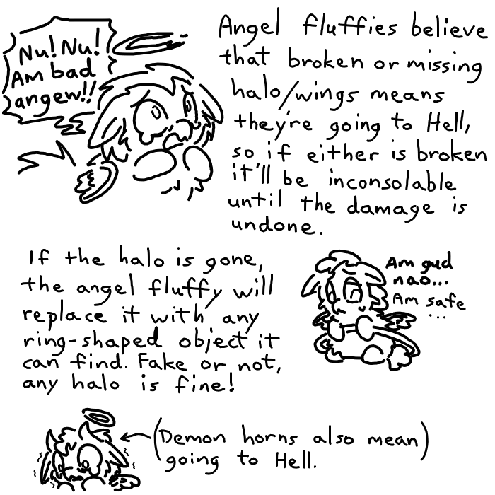 angel fluffs info 5