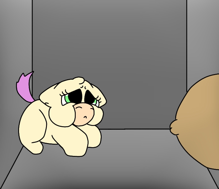 foalsale2