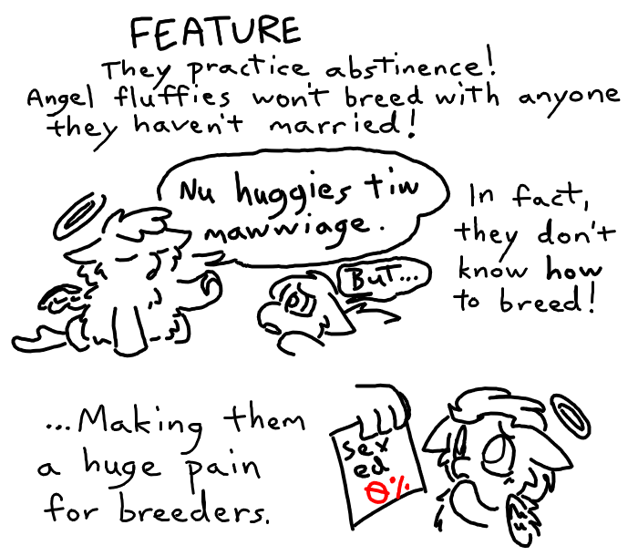 angel fluffs info 6